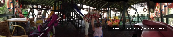 photo 774164