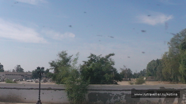 photo 210230