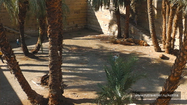 photo 210250