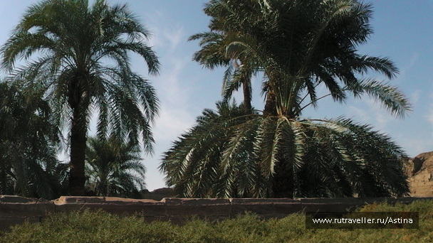 photo 210251