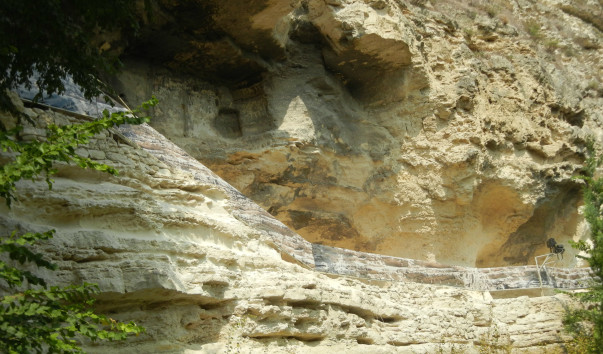 DSCN1619