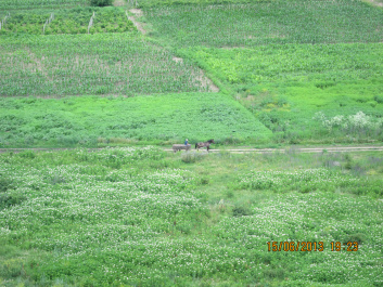 photo 427269