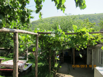 photo 427279