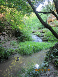 photo 427451