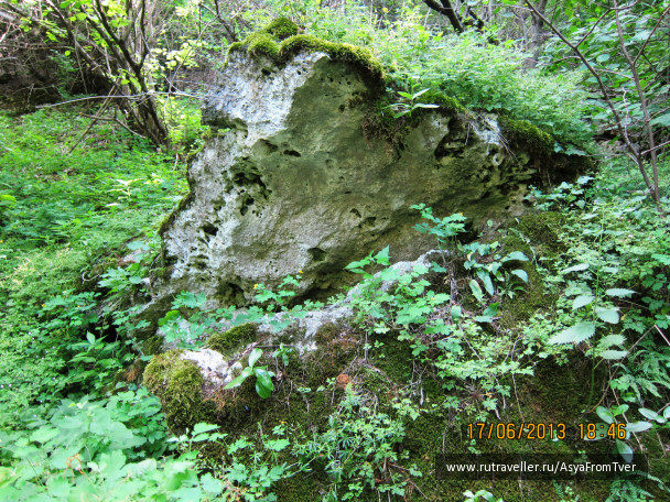 photo 427458