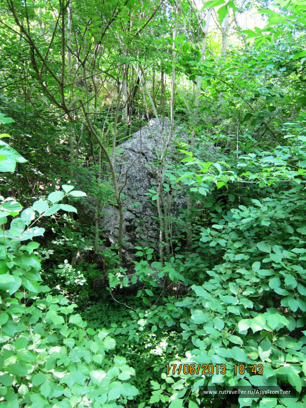 photo 427461