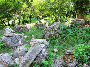 photo 427467