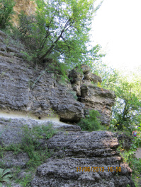 photo 427478