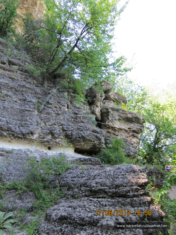 photo 427478