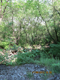 photo 427479
