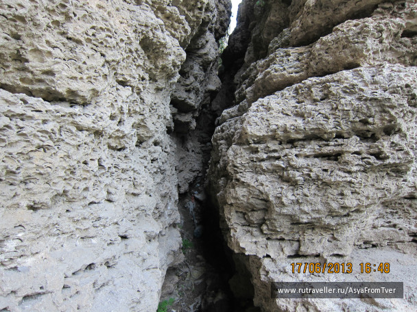 photo 427481