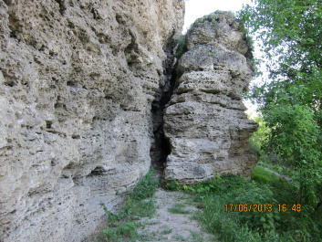 photo 427482