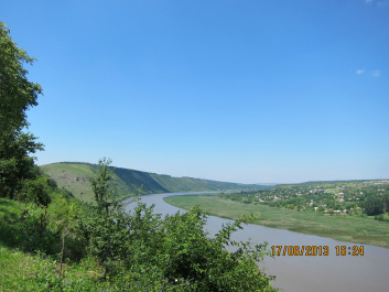 photo 427494