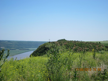 photo 427513