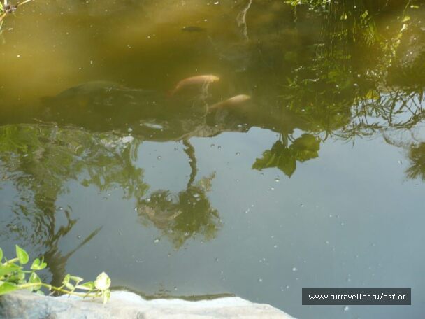 photo 94441