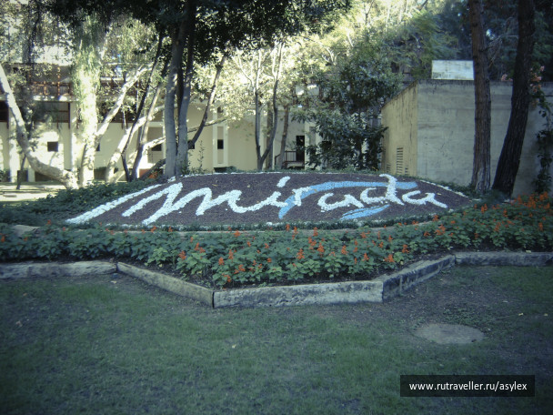 photo 22698
