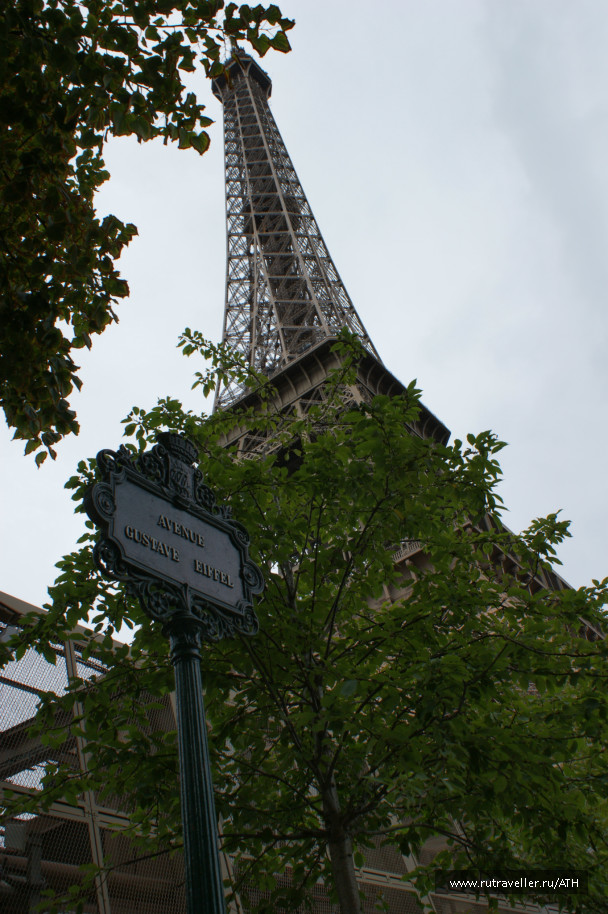 photo 259969