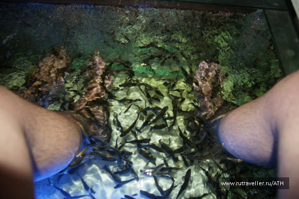 photo 245864