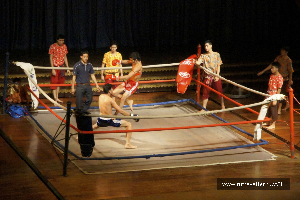 photo 258911