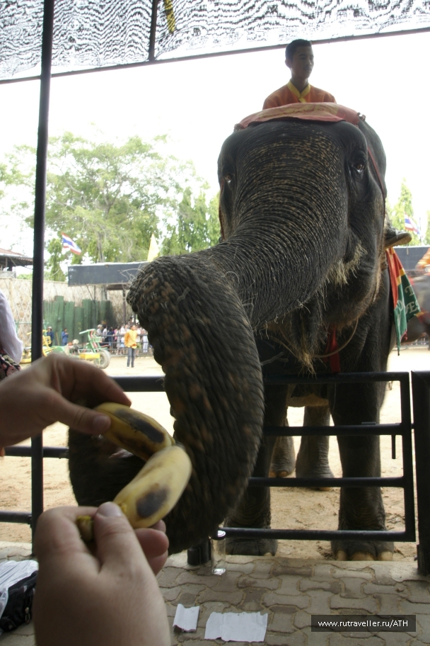 photo 269764