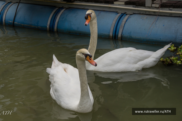 photo 1022842