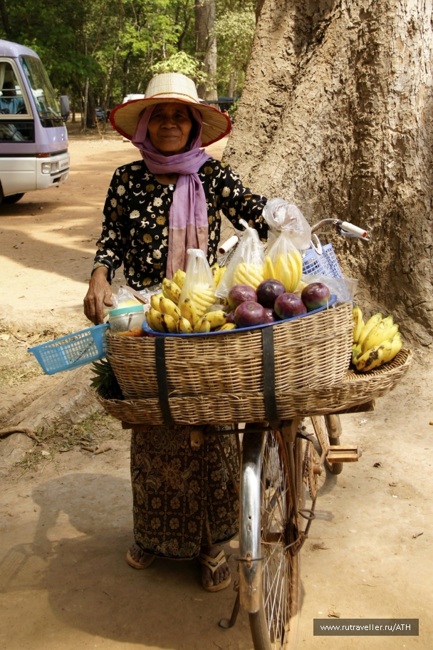 photo 239742