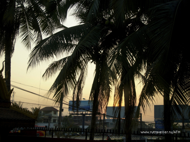 photo 252025