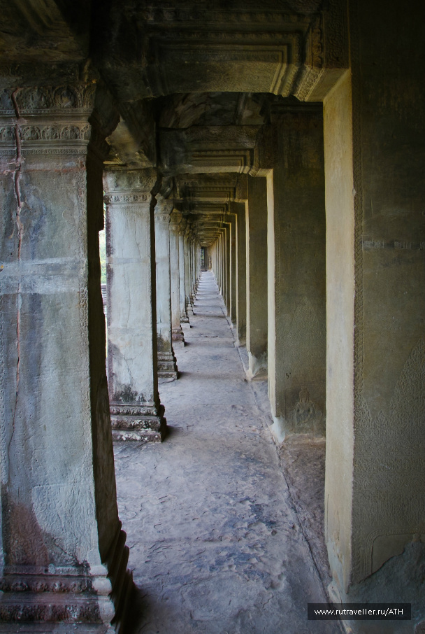 photo 257562