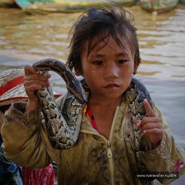 photo 262421