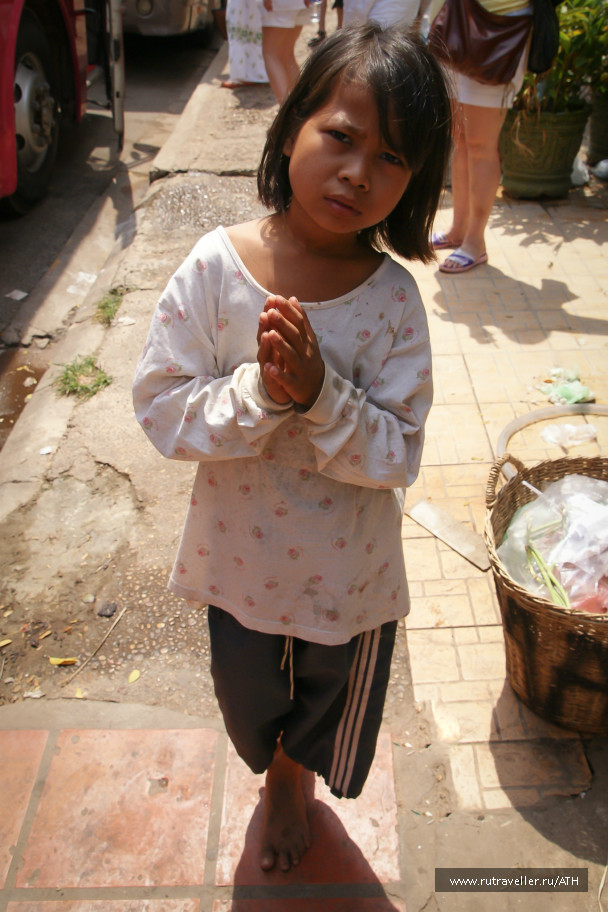 photo 283488