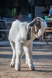 photo 937435