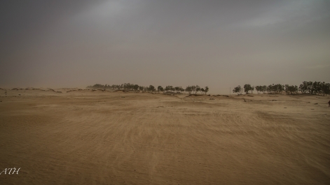 photo 917868