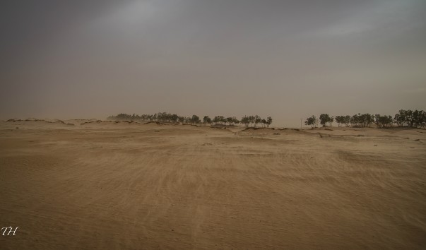 Tunisia