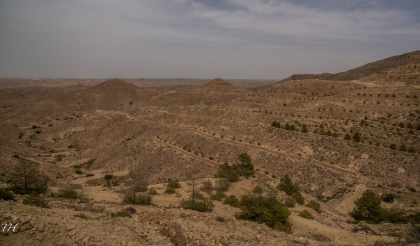 Tunisia