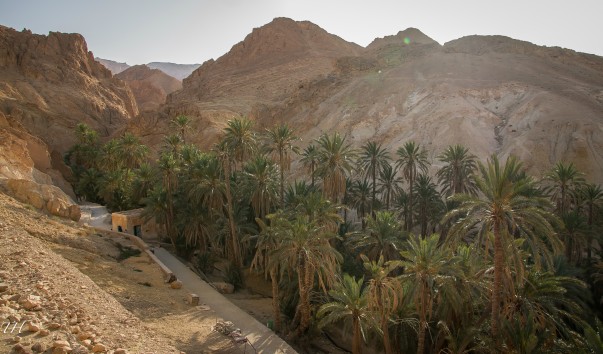 Tunisia