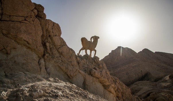 Tunisia