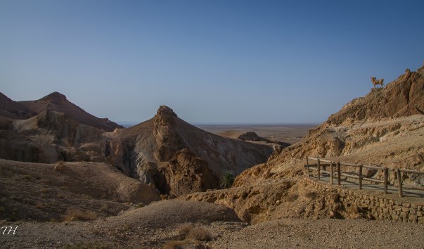 Tunisia