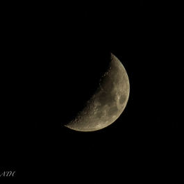 photo 926979