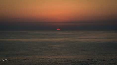 photo 927509