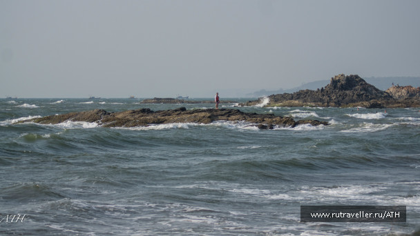 photo 985787