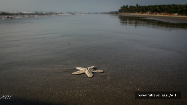 photo 986330
