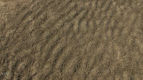 photo 992035