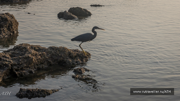 photo 992208