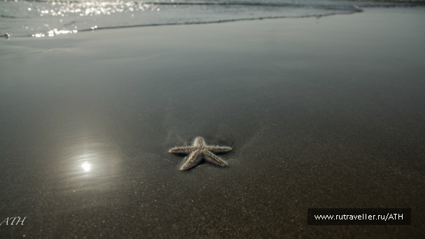 photo 992798