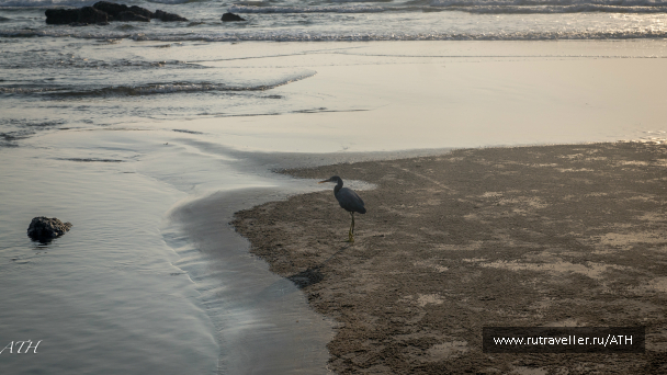 photo 995639