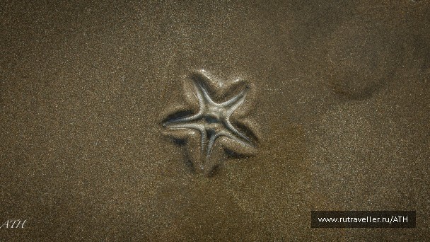 photo 997131