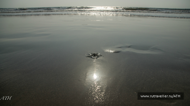 photo 997405
