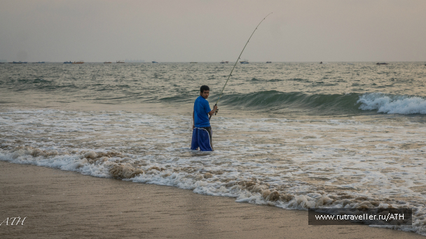 photo 998654