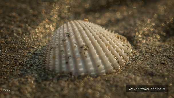 photo 998665
