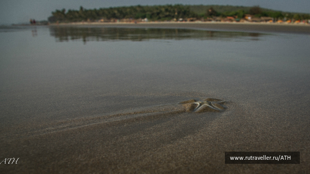 photo 1007115